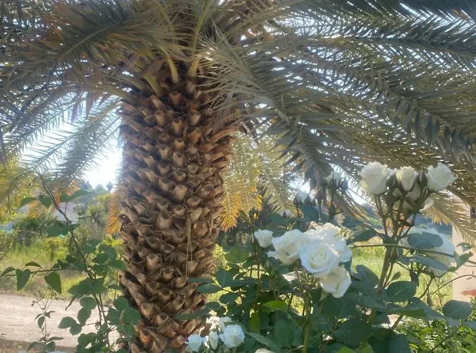 Alkistias & Konstantinos ヴィラ ラッチ